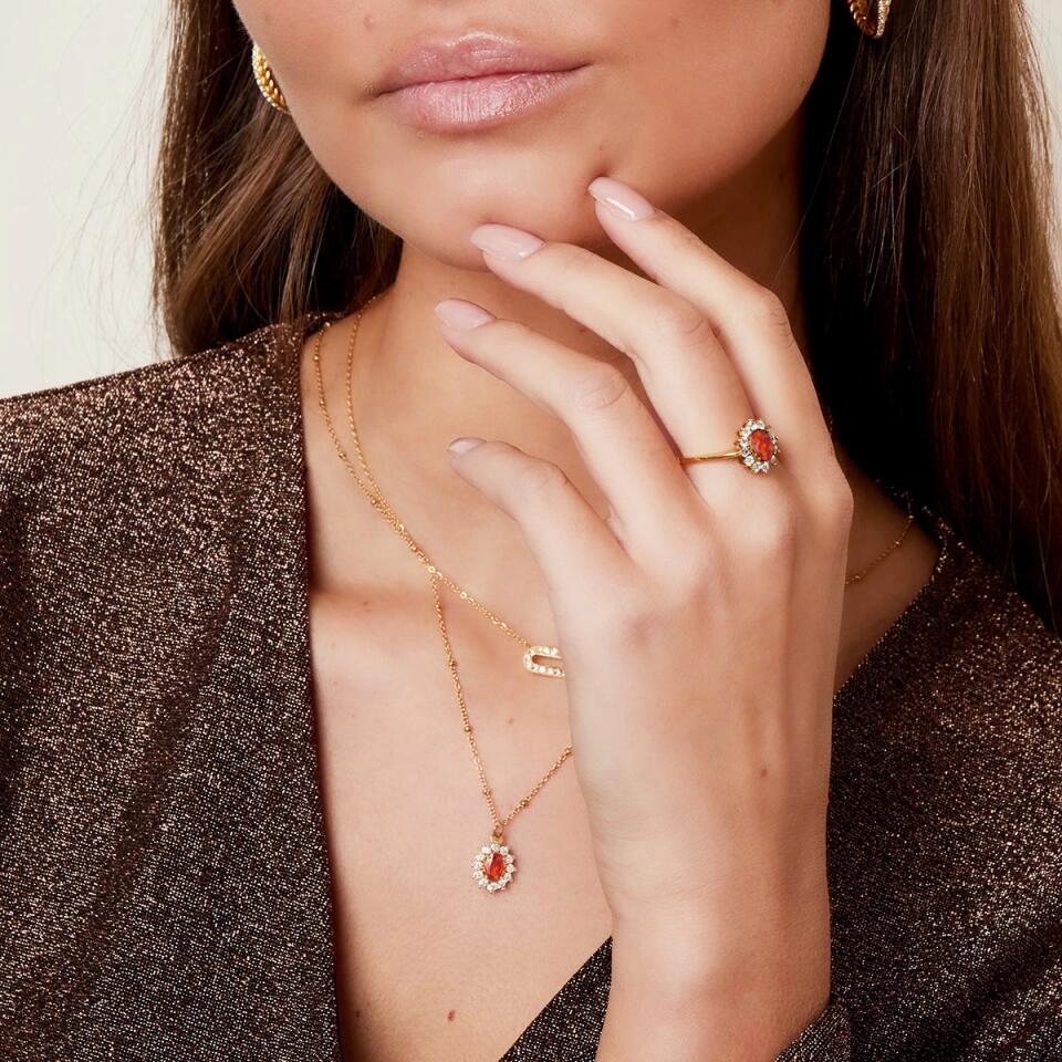 Halsband med personlig text